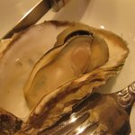 Oyster Bar ジャックポット - 牡蠣は、こんな感じです
