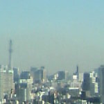 TRIBEKS - 建設中のスカイツリー(左)、東京タワー(右)