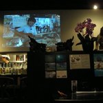 泡ぐら - 大スクリーンでは沖縄を紹介！