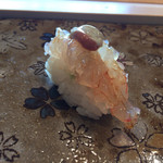 鮨おおね田 - 活きぼたんえび