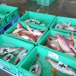 愛南 市場食堂 - 