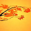花紅葉