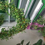 らーめん 愛彩流 - 