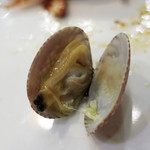 Portugália - 