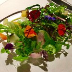 レフェルヴェソンス - 