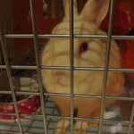 ぬくもりの宿 ふる川 - 