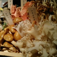 Shangri-La's secret ROPPONGI - 