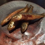 モロコの煮つけ