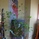 茶房 うえだ - 店内