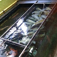 稚加榮 本店 - 