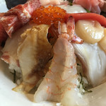 海さくら - 反対側には煮穴子・生エビ・活きホタテ
      ミズタコも見えるやろ