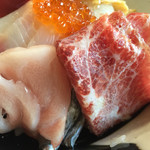 海さくら - これが目をひくよ