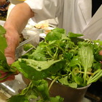 寅一 - 山菜のこと、色々と説明して下さいました