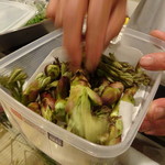 寅一 - 山菜のこと、色々と説明して下さいました