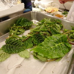 寅一 - 山菜のこと、色々と説明して下さいました