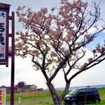 今新 - 八重桜？ゴールデンウィークに、満開をやや過ぎた頃…