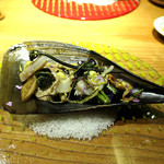 ドディチ・マッジョ - 