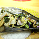 ドディチ・マッジョ - 