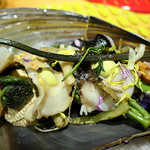 ドディチ・マッジョ - 