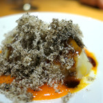 ドディチ・マッジョ - 