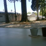 O-edo+ - お外を眺めながらお茶（温）とセルフのお水