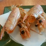 回転寿司しんせんや - 