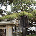 かき幸 - おまけ・高砂神社の銘木「相生の松」（２０１７．５．４）