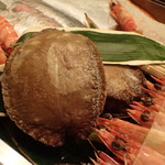 すし処 みや古分店 - この大きさのアワビって。