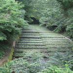 滝口わさび園 - 