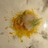 セッタンタ - 富山・白海老　イタリア・からすみ