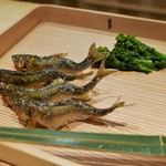 富小路 やま岸 - 杉八寸：稚鮎、菜の花