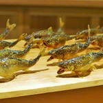 富小路 やま岸 - 稚鮎たち