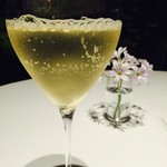 レフェルヴェソンス - 