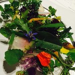 レフェルヴェソンス - 