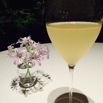 レフェルヴェソンス - 