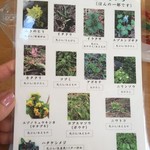 Udon Sansai Shioya - 山菜の説明
