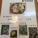 うどん山菜 塩屋 - 山菜天ぷら