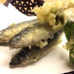 Rakuzan - 　5月のおすすめ　稚鮎の天ぷら:5月11日には天然鮎の解禁ですが、しばらくは稚鮎を提供することになりそうです。
