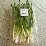 旬菜の館 - やわらかねぎ　150円