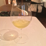 MAVO - かぶせ茶 宇治
      シャルドネのイメージ