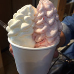 ウッドベリーズ - 