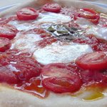 バルカッチャ - 