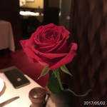 ザンビ - 綺麗な薔薇