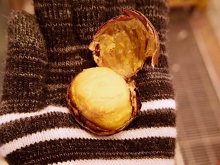 京都錦市場 今すぐ食べたい グルメ スイーツ選 食べログまとめ