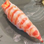 小判寿司 - 天草産海老(茹で上げ)
