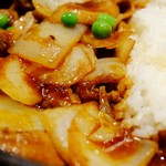 キャンプエクスプレス - 玉ねぎと牛肉のハヤシライス