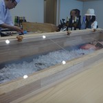 Sushi Kappou Jizaka Na Ryour I Hanabusa - 店内