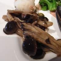 XEX TOKYO / Salvatore Cuomo Bros. - 