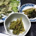 民宿すぎの子 - 