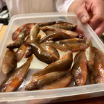 御料理 辰むら - で、これが油目の子。ピンク色してるんですね。